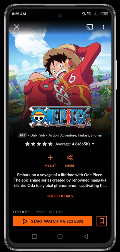 one piece anime